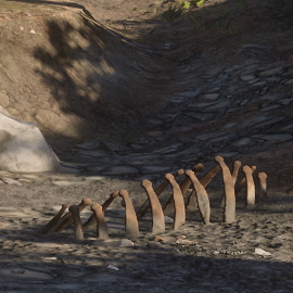 In-Game Dinosaur Bone Location