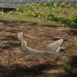 In-Game Dinosaur Bone Location