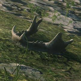 In-Game Dinosaur Bone Location