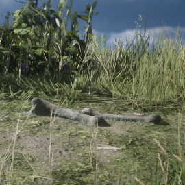 In-Game Dinosaur Bone Location