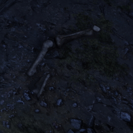 In-Game Dinosaur Bone Location