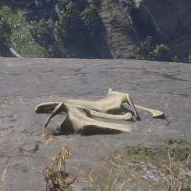 In-Game Dinosaur Bone Location