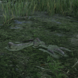 In-Game Dinosaur Bone Location