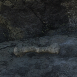 In-Game Dinosaur Bone Location