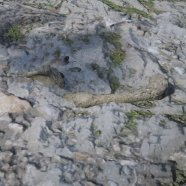 In-Game Dinosaur Bone Location