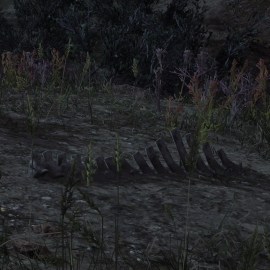 In-Game Dinosaur Bone Location