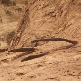 In-Game Dinosaur Bone Location