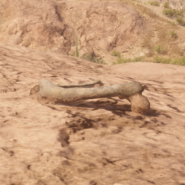 In-Game Dinosaur Bone Location