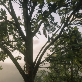 In-Game Dreamcatcher Location